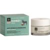 Bodyfarm Donkey Night Face Cream (50ml)