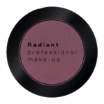 PROFESSIONAL EYE COLOR 1.9g (297 Plum Brown)