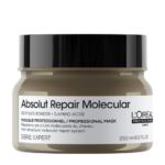 Loreal Professionnel Absolut Repair Molecular Mask (250ml)