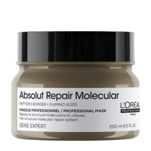 Loreal Professionnel Absolut Repair Molecular Mask (250ml)